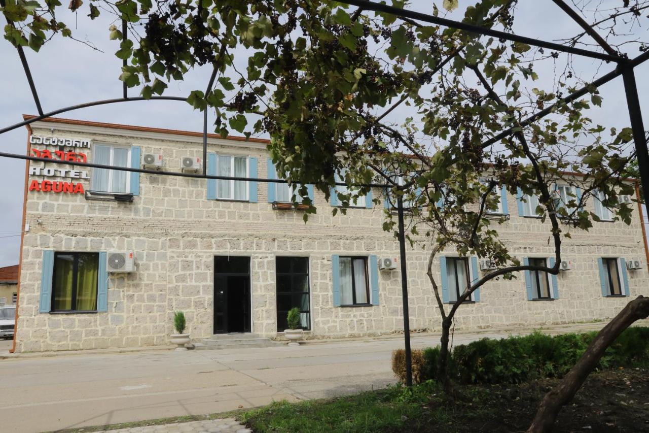 Hotel Aguna كوتايسي المظهر الخارجي الصورة